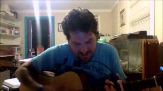 Bad Religion cover chasing the wild goose by Johnny Wiedmann