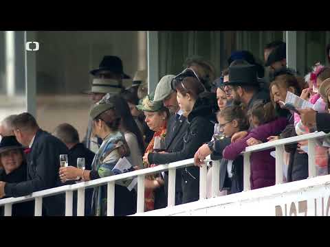 12. 10. 2025 - 2. dostih - Cena společnosti Chládek a Tintěra, Pardubice a.s. – Cena ČASCH