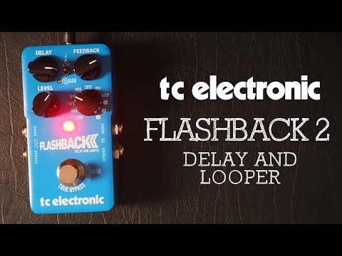 TC Electronic Flashback 2 Delay & Looper Blue + Alimentation image 4