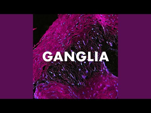 Video thumbnail for Discs