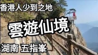 👍正！雲遊仙境！老人家，小朋友，坐輪椅人士都可以輕鬆跨過懸崖峭壁，登山望仙境奇觀！（湖南莽山五指峰）#內地遊