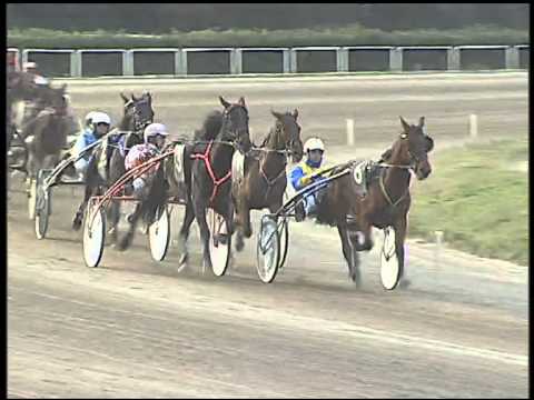 Trotto 01/03/2015 - 5° corsa