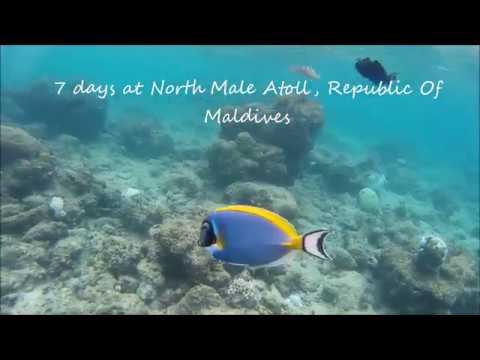 Videos del Adaaran Select Huduran Fushi 4★ en Atolón de Malé Norte, MaldivasVer MásVerPrecios19CerrarConsulta por Whatsapp 🇦🇷BookingTripadvisorExpediaAgodaTravelocityOrbitzTripSkyscannerDespegarKayakHotelesBestdayDestiniaTrivagoTurismocityAlmundoLastminuteTuiWotif