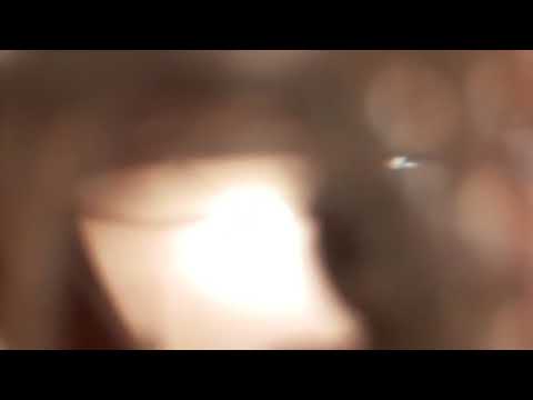 Asmr haircut| wahsing brushing trimming