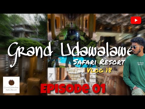 පිස්සු හැදෙන Safari Resort එක😳 | Grand Udawalawe Safari Resort 🌿🐘 | Must-Visit Destinati