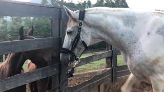 BRUCE {Kaleidoscope - A Great Big World}