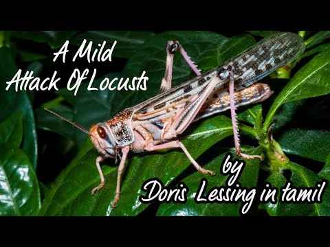 A Mild attack Of Locusts in tamil /The World Of fantasy