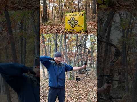 Compound Bow Vs. Traditional Longbow!