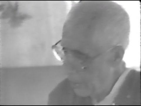 Divine Discipline in Yoga - Part 4 - Ahimsa (non-violence)