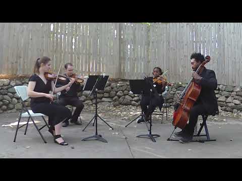 Promotional video thumbnail 2 for KalHaven Strings