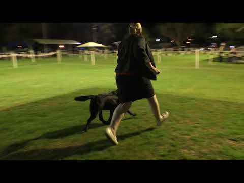 16 July 2021 Maree KC Champ Show Part 2