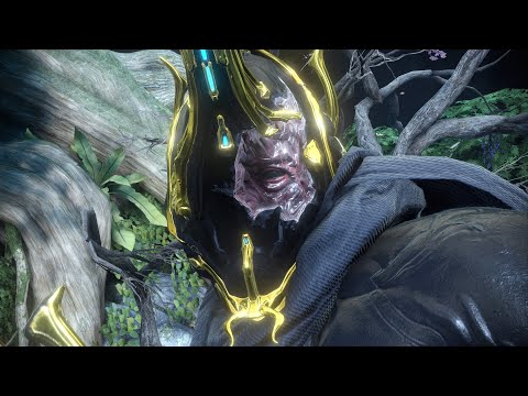 How to Communicate with Randoms in Warframe