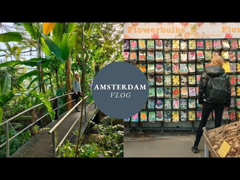 Visit Hortus Botanicus and the Flower Market in Amsterdam with Me | 17m2garden
