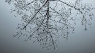 Cover &quot;Clark - Ted (Bibio Remix)&quot;