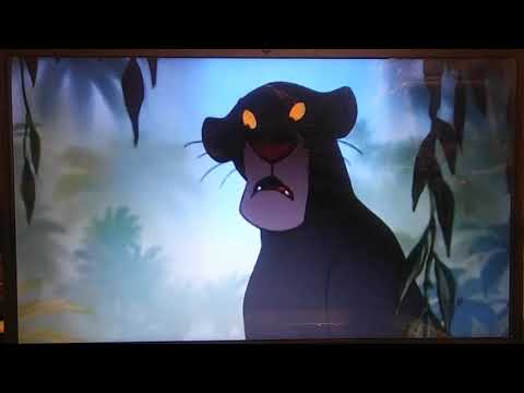 Mammal Story part 18 - 'Bagheera, I Can't Do This Without You' (2010)