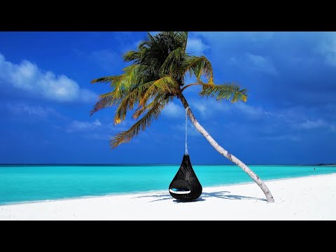 Peter Pearson - Blissful Journey (1080p HD) *THE SMOOTHJAZZ LOFT*