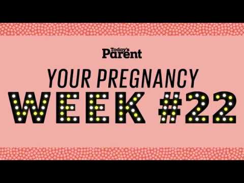 Your pregnancy: 22 weeks