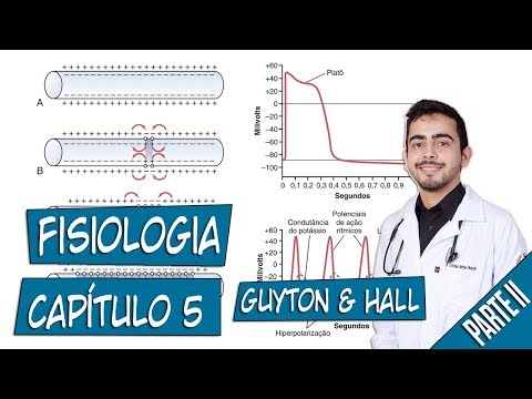 Physiology - Membrane Potentials and Action Potentials (Chapter 5) PART 2 │ Guyton