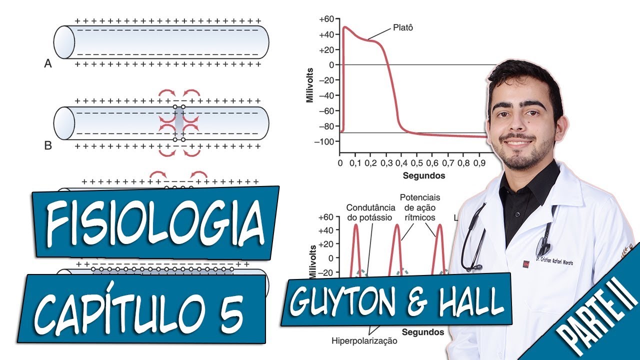 Fisiologia - Potenciais de Membrana e Potenciais de Ação (Capítulo 5) PARTE 2 │ Guyton