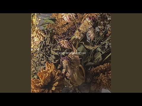 I Would Have Followed You - Delaney Bailey