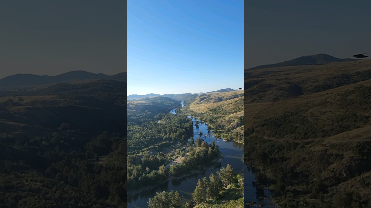 YouTube Short thumbnail