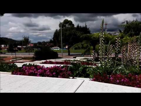 Teoría de Proyecto  DB