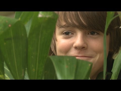 The Gardener - Short Film for Valencia College Class