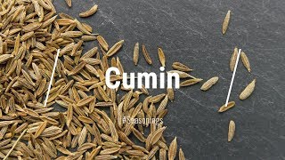 🔵 All About Cumin Spice