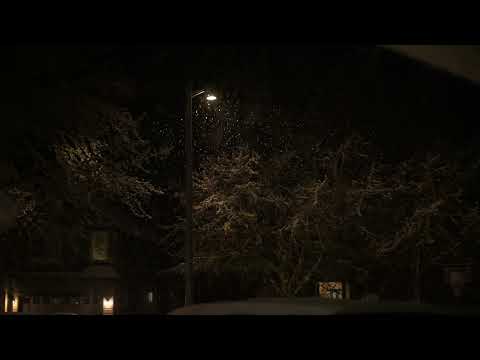 Slow-Mo Snow in April - Hillsboro, Oregon