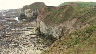 Flamborough Lighthouse, Cliffs, Caves, Puffin & Sea Bird Colony