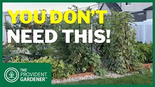 You DON’T Need a Big Garden to Grow Your Own Food (5 Ways To Grow Your Own Food Without a Garden)