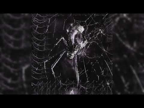 Phonkha, EXTEMPLE - OXY