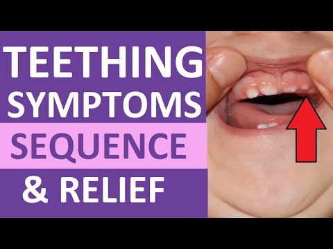 How to Take a Pregnancy Test at Home Pregnancy Test Results Live