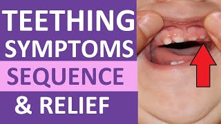 When Babies Start Teething, Teething Symptoms, Toys, Relief | Pediatric Nursing