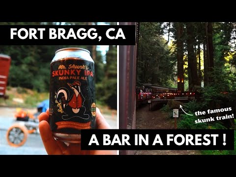 Bars Fort Bragg Ca