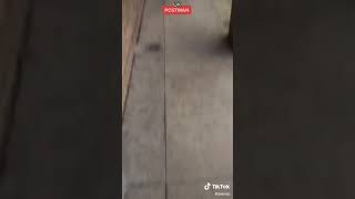 Joemjc UK postman tik tok video