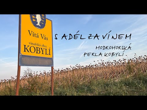 S Adél za vínem - obec Kobylí