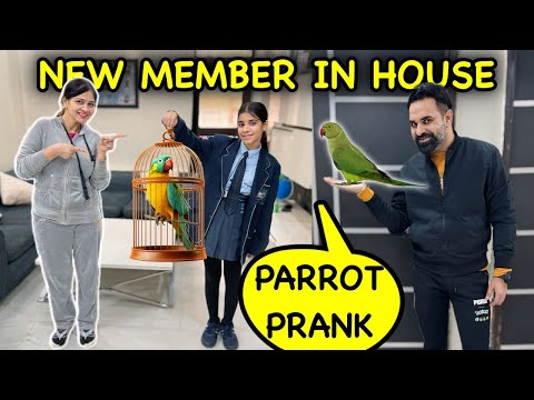 Parrot Prank on Guneet 🦜 New Member in House