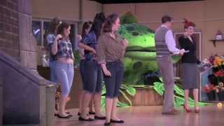 Little Shop Of Horrors - 2015 Amateur Production