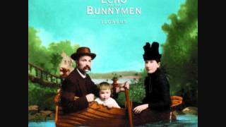 Echo &amp; The Bunnymen - Burn For Me (Subtitulada)