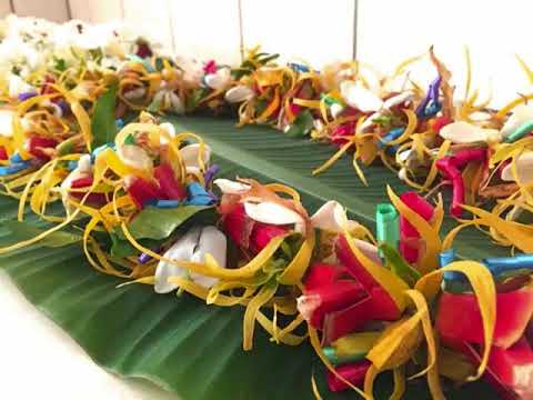 KE MAKA I HE KITE HE'E GATA  2020 AKINO