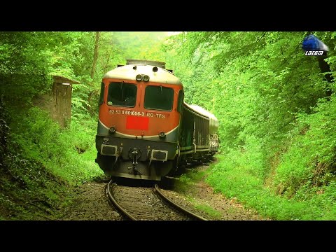 060-DA 60-1696-3 in Action & Mecanic de Treabă/Nice Enigneer in Defileul Crișului Repede 22 May 2021