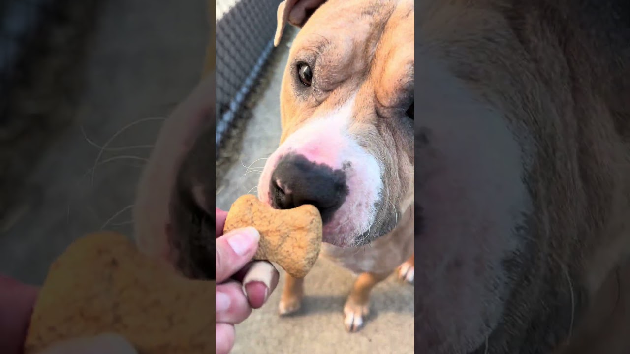 Wrinkles video preview