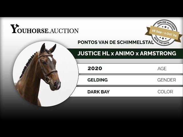 Pontos van de Schimmelstal trainingsvideo