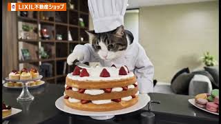 2026新CM_猫_30秒