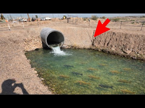 This Crystal-Clear Roadside Spillway Was LOADED w/ Fish
