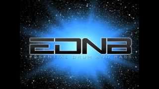 Calyx & Teebee - Elevate This Sound