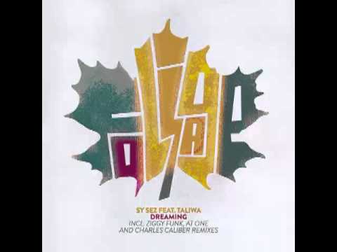 Sy Sez feat Taliwa - Dreaming (Original Mix)