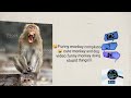 Funny Monkey Compilation Cute Monkey And Dog Video Funny Monkey Doing Stupid Things 360p