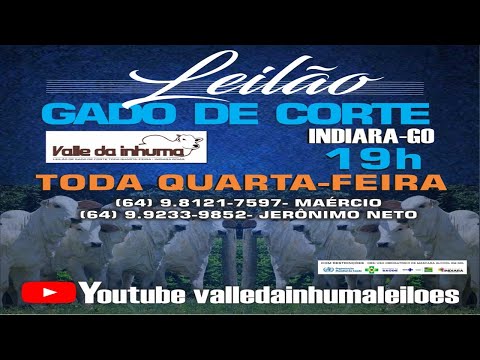 Indiara - GO  15/10/2025